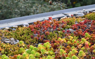 the cost of Luton green roof installation