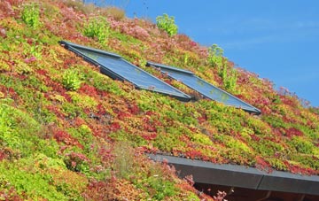 Luton living roof systems
